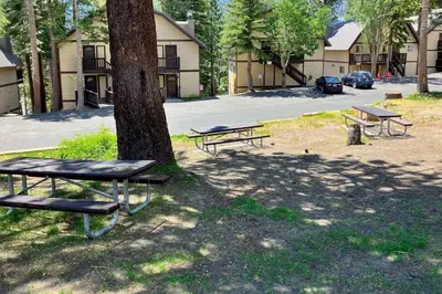 a group of picnic tables sitting next to a tree at Mammoth View Villas 35 in Mammoth Lakes