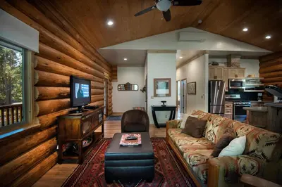 a living room with a couch and a tv at 38 The Mini Cabin in Wawona