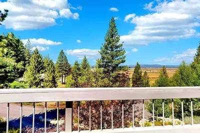 a view of a tree from a balcony at Sleek Hill Haven with Martis Valley Views in Polaris