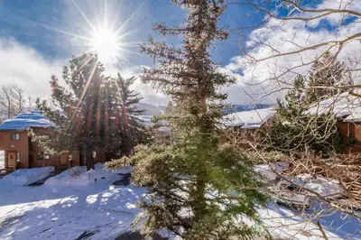 a tree in the snow with the sun behind it at Snowflower 12 in Mammoth Lakes