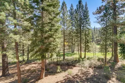 a forest of pine trees with a field in the background at Family-Friendly Truckee Cabin Near Ski Shuttle! in Truckee
