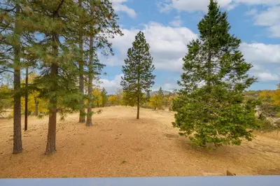 a group of trees in the middle of a field at 7 Mi to Bass Lake! Spacious Mudge Ranch Retreat in Coarsegold