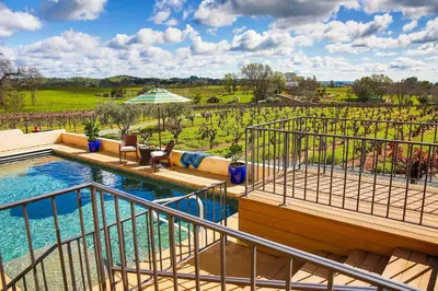 a pool with a view of a vineyard at Working Vineyard and Private Pool Villa in Plymouth in Plymouth