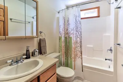 a bathroom with a sink and a toilet and a shower at Forest Views and Beach Access Family Truckee Gem in Truckee