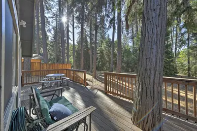 a deck with two benches and a tree at Cabin in Natl Forest 35 Min to Boreal Resort in Colfax