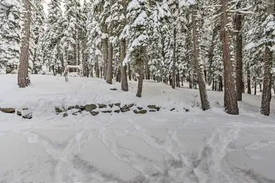 a forest covered in snow with trees and rocks at Tahoe Donner Mountain Cabin Surrounded by Forest! in Truckee