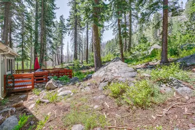 a cabin in the woods with a bench and trees at Private Mountain Retreat 8 Mi to Lake Tahoe! in South Lake Tahoe