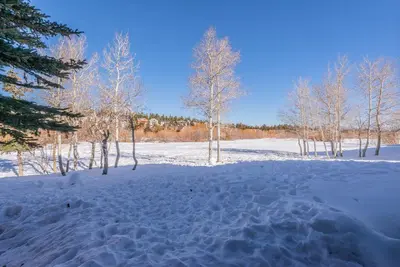 a snow covered field with trees in the background at Snowcreek - #510 Phase IV in Mammoth Lakes