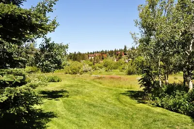 a green field with trees and a house in the background at Snowcreek - #510 Phase IV in Mammoth Lakes