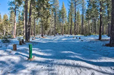 a forest with snow on the ground and trees at 7 Mi to Heavenly Ski Resort Cozy Tahoe Cabin in South Lake Tahoe