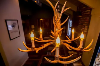 a chandelier with antlers on it in a room at The Mammoth House in Mammoth Lakes