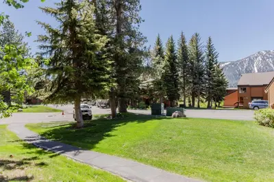 a grassy area with trees and a driveway at Snowcreek I 33 in Mammoth Lakes