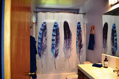 a bathroom with a shower curtain with feathers on it at Blue Jay Paradise in Three Rivers