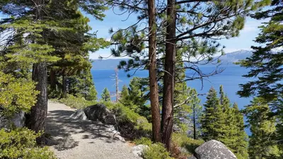 a trail through a forest with a view of the water at Lakeland Village #105 in South Lake Tahoe