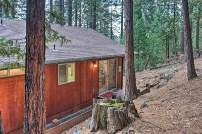 a small cabin in the woods with trees at 4 Mi to Big Tree State Park Serene Cabin with Deck in Arnold