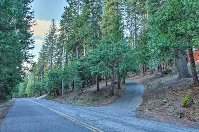 an empty road in the middle of a forest at 4 Mi to Big Tree State Park Serene Cabin with Deck in Arnold