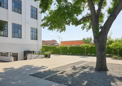a tree in a courtyard next to a building at The Darling in Visalia