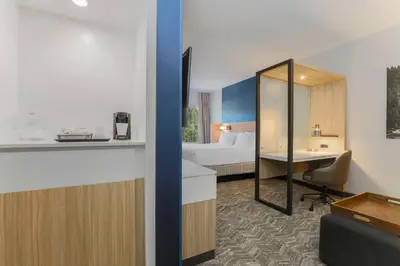 a hotel room with a bed and a desk at SpringHill Suites by Marriott Truckee Lake Tahoe in Truckee