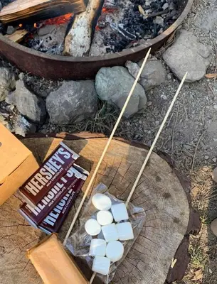 a bunch of marshmallows on sticks next to a fire at SoCal Camping in Kernville