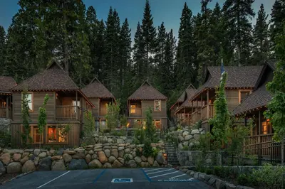 a home in the woods with a lot of trees at Cedar Crest - Chickadee Cottage 2 in Homewood