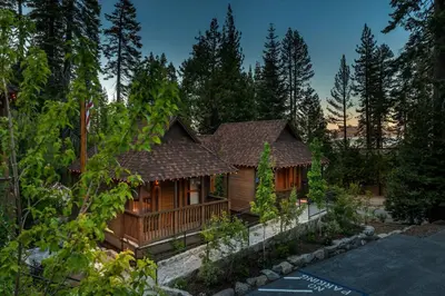 a wooden house in the middle of a forest at Cedar Crest - Robin Cottage 6 in Homewood