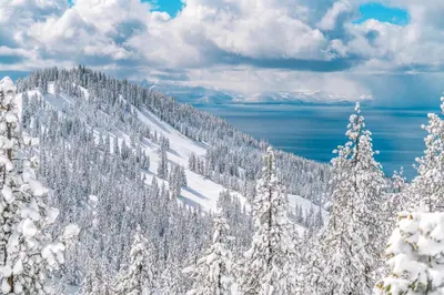 a mountain covered in snow with trees and water at Incline Oasis in Incline Village
