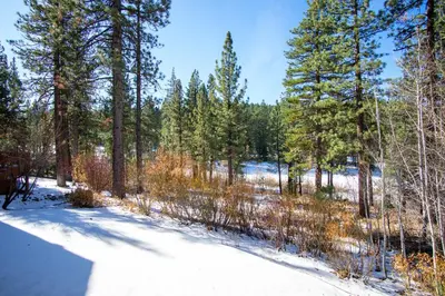 a path through a snow covered forest with trees at Skidder Trail Family Lodge home in Truckee