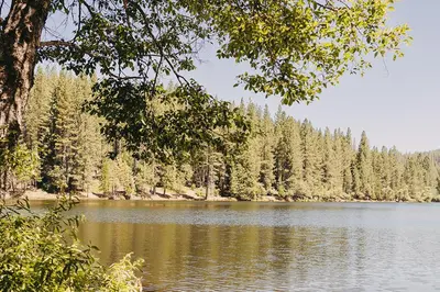 a view of a lake with trees in the background at Family Cabin in Blue Lake Springs, Near Town! in Arnold