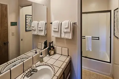 a bathroom with a sink and a shower at Tee Time Terrace in Groveland