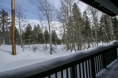 a fence covered in snow with trees in the background at Mammoth Green #102 condo in Mammoth Lakes