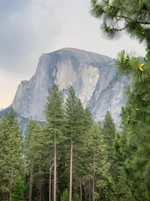 a mountain behind a forest of trees in front thereof at Villa Alta Vista at Yosemite- Stunning Views and Game Room in Mariposa