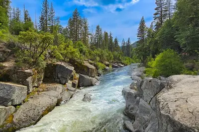 a river with rocks and trees on the side at Snowpeak Chalet in Camp Connell