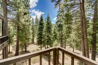 a wooden deck with trees in the background at 1 Mi to Northstar Skiing Cozy Pet-Friendly Condo! in Truckee