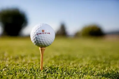 a golf ball on a tee in the grass at Modern Hotel-Style Studio - Timber Creek Lodge #210 Hotel Room in Truckee