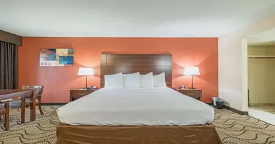 a large bed in a hotel room with orange walls at Best Western Roseville Inn in Roseville