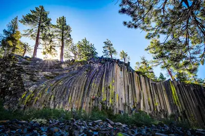 a wooden fence with trees on top of a hill at Creekhouse 1332 in Mammoth Lakes