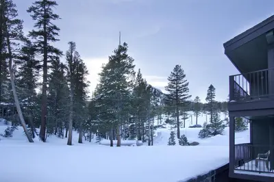 a snow covered yard next to a house with trees at St Anton Wooded View 1-Bedroom Condos with Complimentary Hot Drinks in Mammoth Lakes