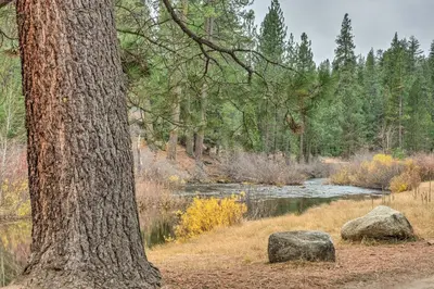 a tree and two rocks next to a river at Cozy Retreat with Deck about 2 Mi to Pinecrest Lake! in Strawberry