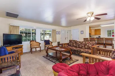 a living room with a couch and a tv at Cedar Nest in Wawona