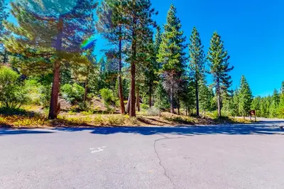 an empty road with trees on the side of it at Truckee Treat in Kingswood Estates
