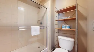 a bathroom with a shower and a toilet and a tub at Mammoth Green #111 condo in Mammoth Lakes