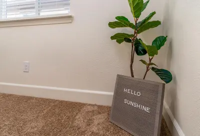 a plant in the corner of a room with a sign at Dream Family Home in South Reno 4 bed 30 Min to Lake Tahoe in Steamboat