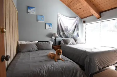 a dog sitting on a bed in a bedroom at COZY Condo at Canyon Lodge! Sleeps 8, a walk to Canyon Lodge in Mammoth Lakes