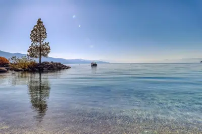 a tree in the middle of a body of water at North Tahoe Nest in Incline Village