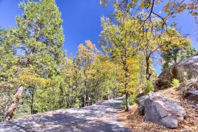a dirt road through a forest with trees at Forest Glen in Yosemite West