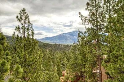 a view of a mountain through the trees at Lookout Lodge in Zephyr Cove