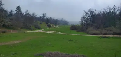 a grassy field with a winding road in the distance at Sequoia Resort in Badger