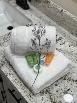 a bathroom counter with towels and a plant on it at Beautiful 3 bedroom home located near Yosemite in Oakhurst