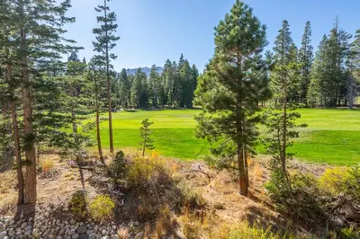 a view of a golf course through trees at Obsidian 300 in Mammoth Lakes