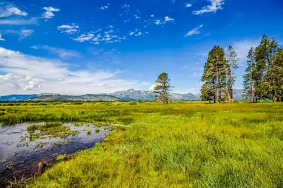 a marsh with trees and a river in a field at Overlook Nook in Stateline